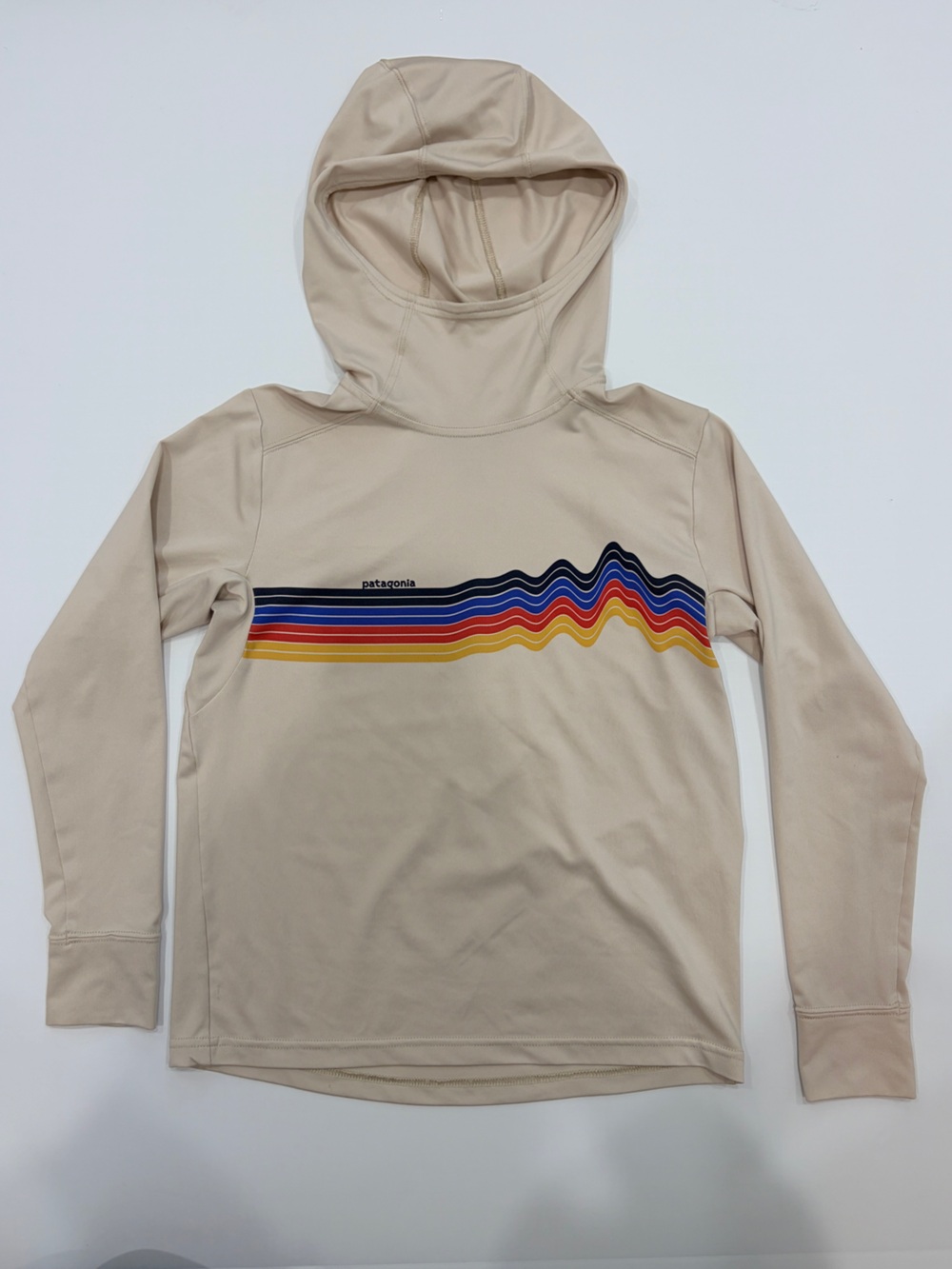 Patagonia Beige Hoodie with Multicolor Wavy Stripe Graphic